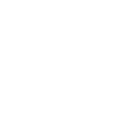 icono grafico con lupa